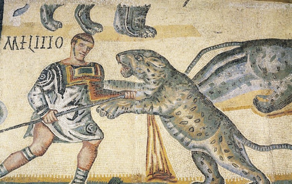 VENATIONES CACCIA AD ANIMALI FEROCI